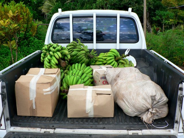 137- Une benne de fruits et legumes et de surprises 